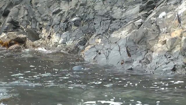 Чили смотреть онлайн