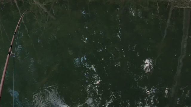 Спиннинг река Чарыш 08.09.21 смотреть онлайн