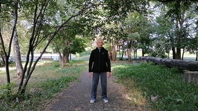 Восемь кусков парчи. Ба Дуань Цзин. Eight Pieces Of Brocade.《八段锦》