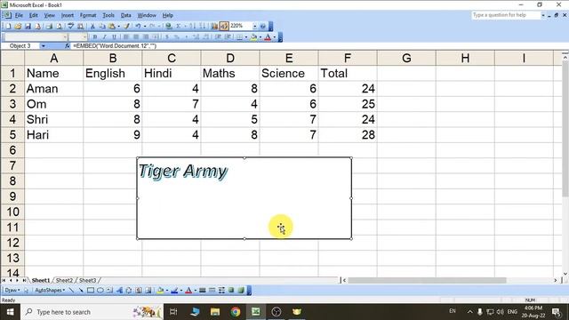 Day 45 - Object & Hyperlink | Microsoft Excel 2003 | Tiger Army | 2022 смотреть онлайн