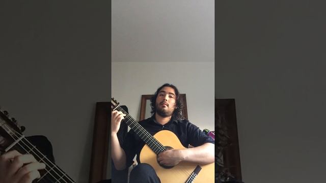 wilfredo ortiz - Jury classical guitar Leo Brouwer Estudios Sencillos number 1,2& 4 смотреть онлайн