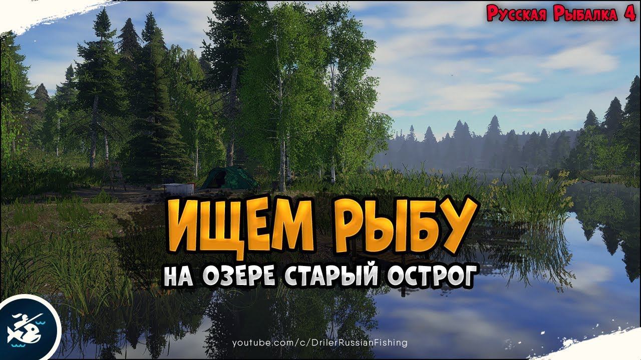 оз. Старый Острог • Карп и Амуры • Driler -  Русская Рыбалка 4