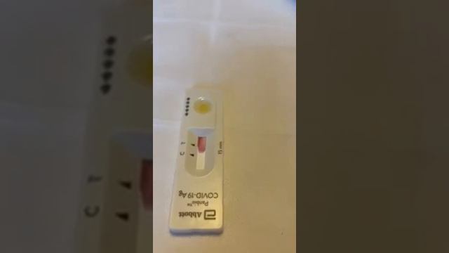 Test rapid covid19 făcut cu bere, rezultatul fiind pozitiv смотреть онлайн