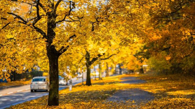 Romantic Relaxing Saxophone Music, Beautiful Stress Relief Music смотреть онлайн