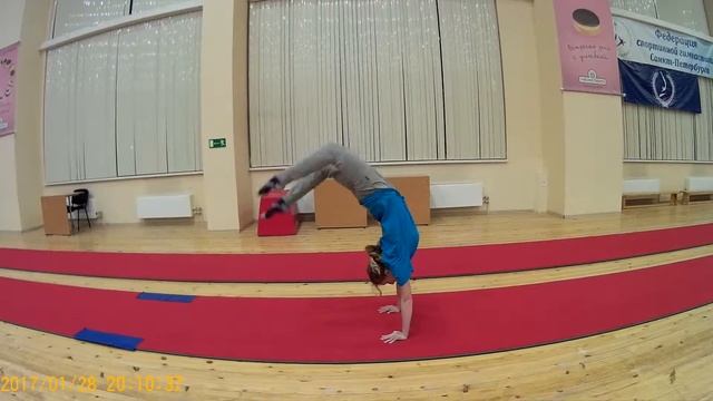 Тренировка 28.01.2017(3)