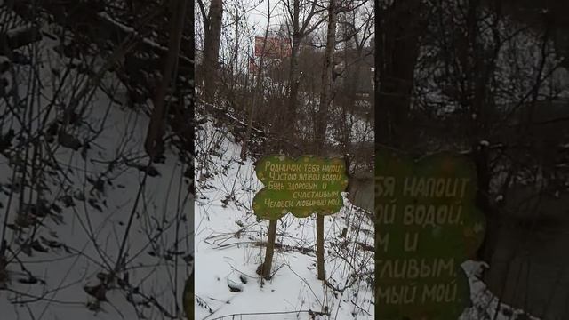 Родник в городе Брянск