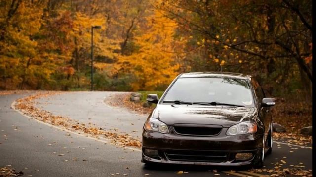 Top Modified Toyota Corolla || 2002-2008 || Car Club смотреть онлайн