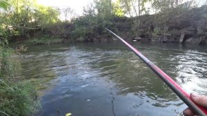 Рыбалка на поплавок . Где ловить ельца в быстрой реке.