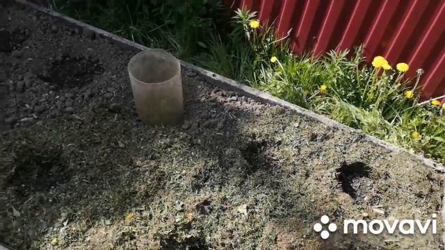 Подключила полив. Шаровый таймер полива. Грядки под тыквы и арбузы..