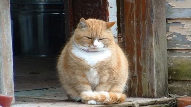 Приметы про порог. Как притянуть счастье, удачу, богатство смотреть онлайн