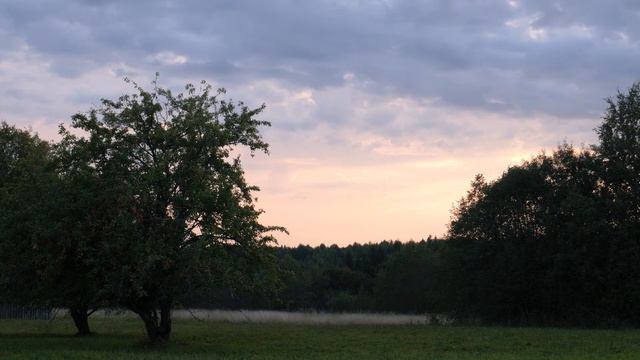 Звуки деревни летним вечером для сна и отдыха. Почувствуйте гармонию с природой | Senses of Light смотреть онлайн