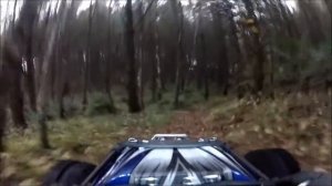 Гонки от первого лица