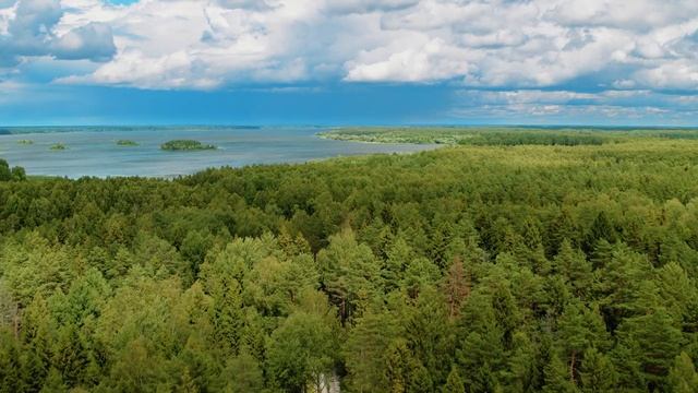 Yamaha Experience Конаково смотреть онлайн