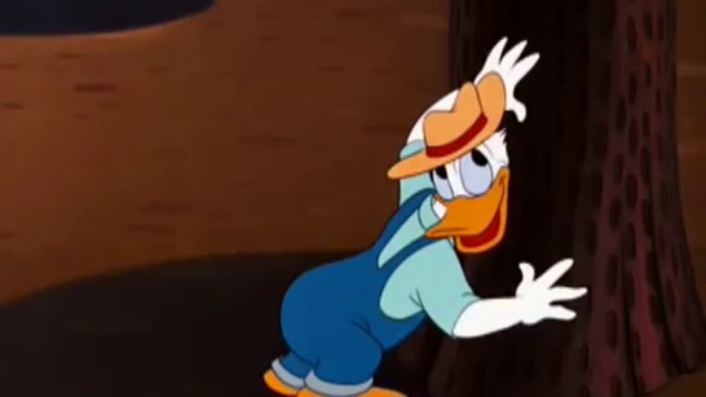 Donald Duck Catoons A01