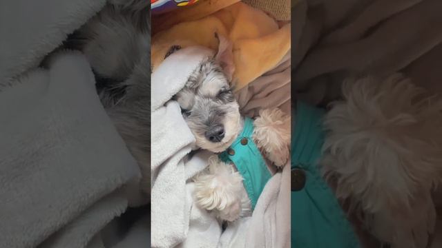 WhatsApp Video 2022 10 27 at 1 52 27 AM смотреть онлайн