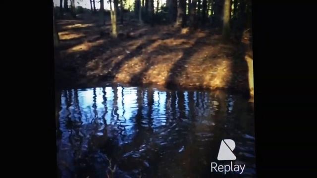 Mudding with rzr Polaris and 500 400 смотреть онлайн