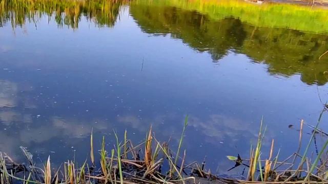 Рыбалка в мае на реке. #рыбалка #рыбалка2023 #рыбалкавесной смотреть онлайн