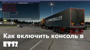 Как включить консоль в ETS2