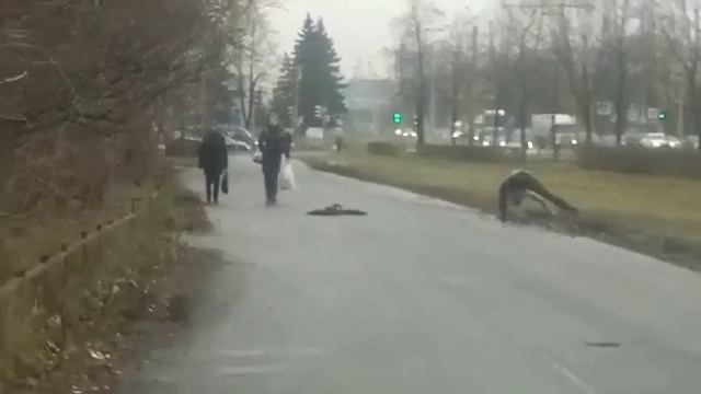 А лучшие грибы в Петербурге смотреть онлайн