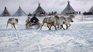 §50 "Биосфера - сфера жизни", География 5-6 классы, Полярная звезда