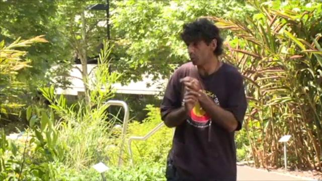 Learning From Les' Bush Tucker Garden смотреть онлайн