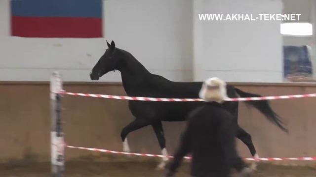 Севан смотреть онлайн