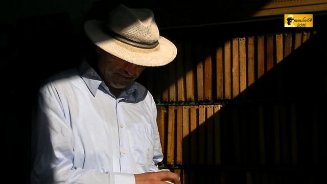 Pastrarea ramelor de albine cu acidul formic 2016 смотреть онлайн