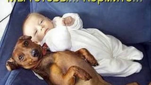 811 смотреть приколы дети +и животные смотреть онлайн