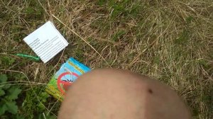 Выкручиватель клещей в действии
