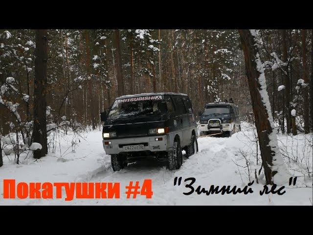 Покатушки на DELICAx по зимнему лесу.