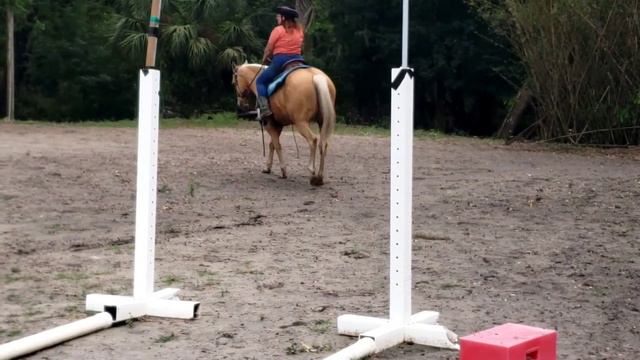 Amy & Petunia Virtual Trail Rider Challenge #10