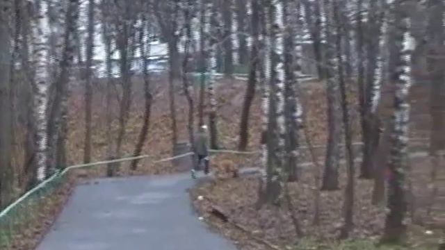 Улица генерала Тюленева, 31: пожарный проезд смотреть онлайн