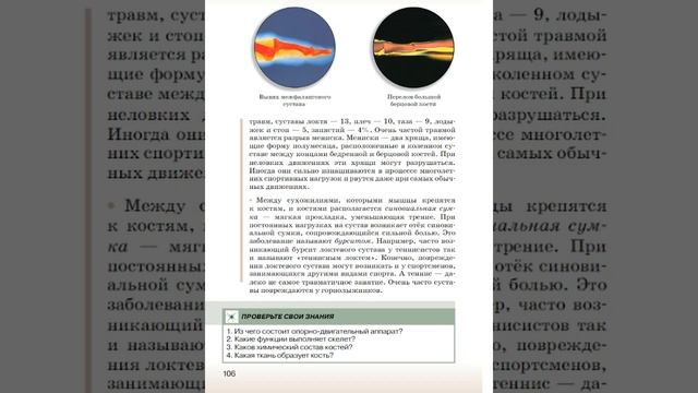 Биология 9к СТР-100 Кости скелета смотреть онлайн