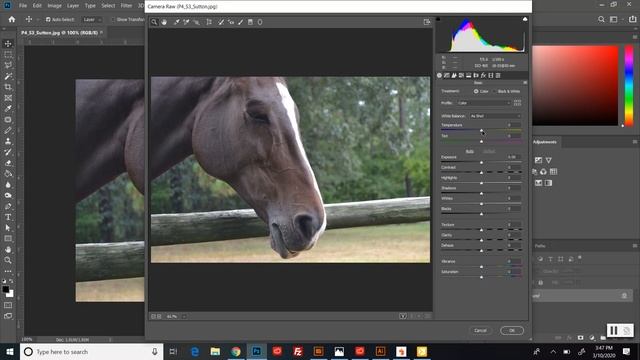 Adobe PhotoShop Camera Raw (Beginners) смотреть онлайн