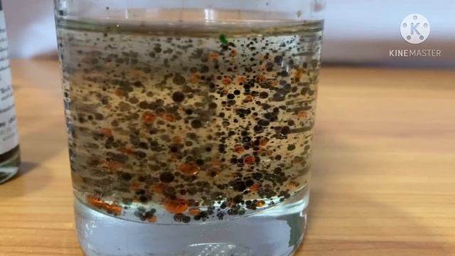 “Color Drop!!” Science for free смотреть онлайн
