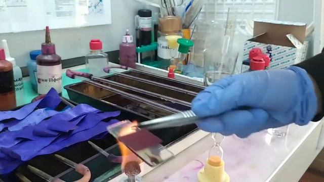 Метод окраски по Цилю-Нильсену смотреть онлайн