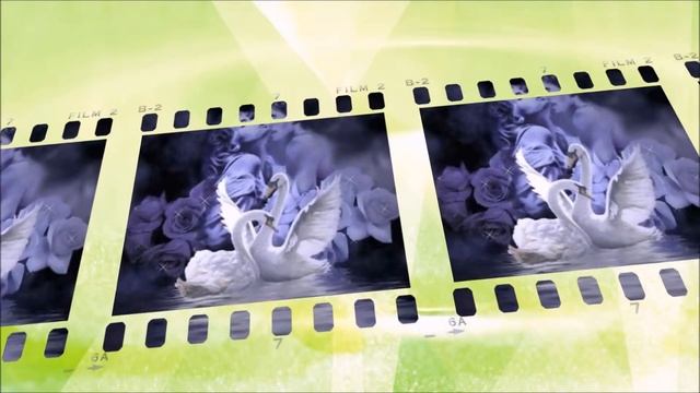 ЛЮБОВЬ МОЯ, КАК ЛЕБЕДЬ БЕЛАЯ смотреть онлайн