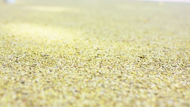 Крашенная крошка - новый продукт компании "Гамбит" смотреть онлайн