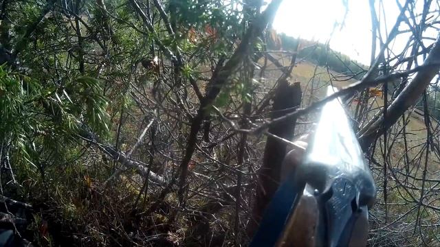 Спонтанная охота на гуся [Белощёкая казарка] смотреть онлайн