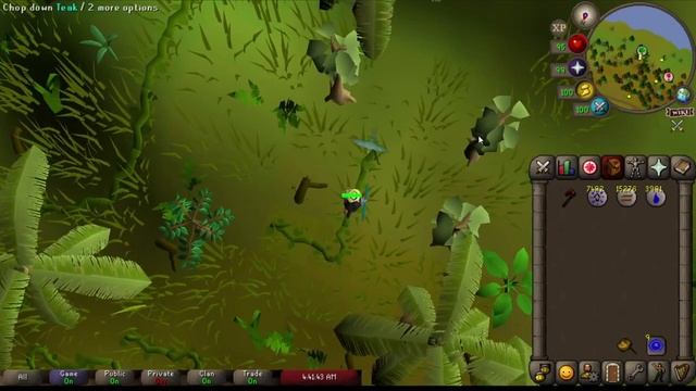 A Lazy Skillers Guide to 2 Tick Teaks смотреть онлайн