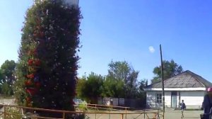 Аскиз - Сердце Хакасии 2