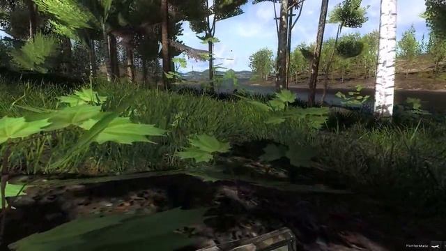 Композитный лук "Parker Python" и Лоси. смотреть онлайн