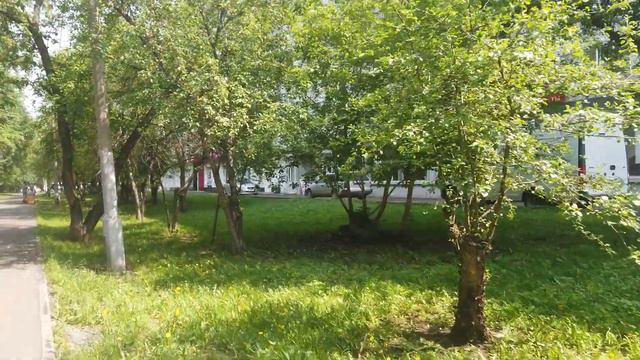 По улице Павлова и Менделеева ( Красноярск правобережный ) Июнь 2023 смотреть онлайн