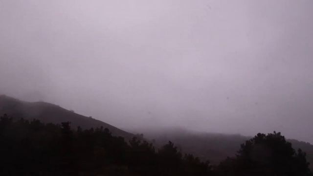 Перелет журавлей вдоль морского побережья Крыма смотреть онлайн