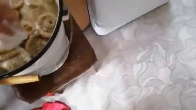 "Соление грибов сырым способом" рецепт от получателя услуг Любы Лукиной смотреть онлайн