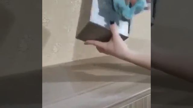 Домовладелец Мастер