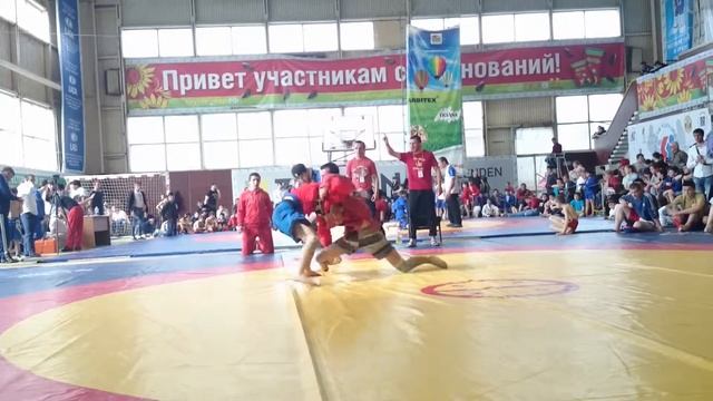 Заур Насибов смотреть онлайн