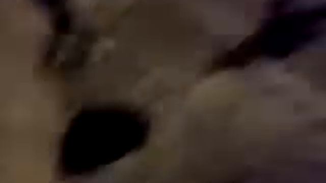 Charango vs casual смотреть онлайн