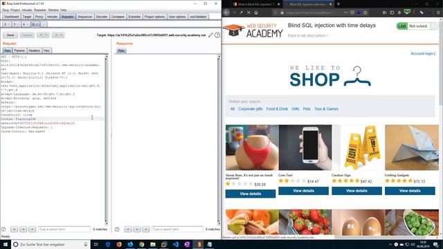 Blind SQL injection with time delays (Video solution) смотреть онлайн