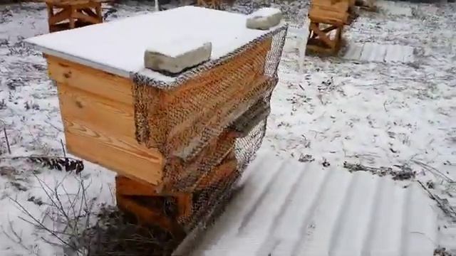 Декабрь 2018. Защита пчел от синиц. смотреть онлайн